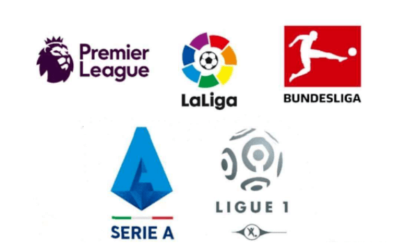 的灵活布局 的灵活布局